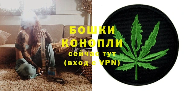 амф Володарск