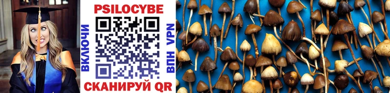 Псилоцибиновые грибы MAGIC MUSHROOMS Питкяранта