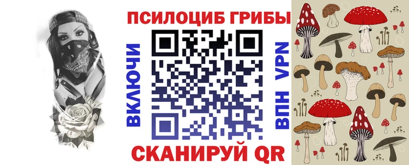 Псилоцибиновые грибы GOLDEN TEACHER  мега маркетплейс  Питкяранта 
